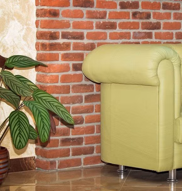 11 điểm trong nhà bóc mẽ chủ nhân là người nghèo, đại gia thật không làm như vậy - 10