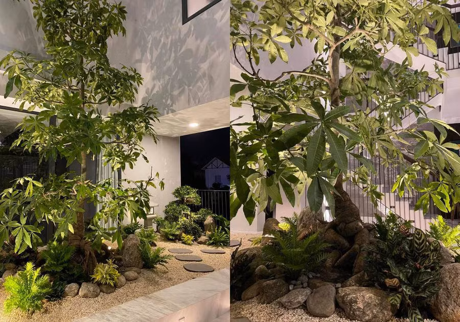 Góc vườn sang chảnh chuẩn nhà giàu trong biệt thự triệu đô của Cường Đô La và dàn sao Việt - 3