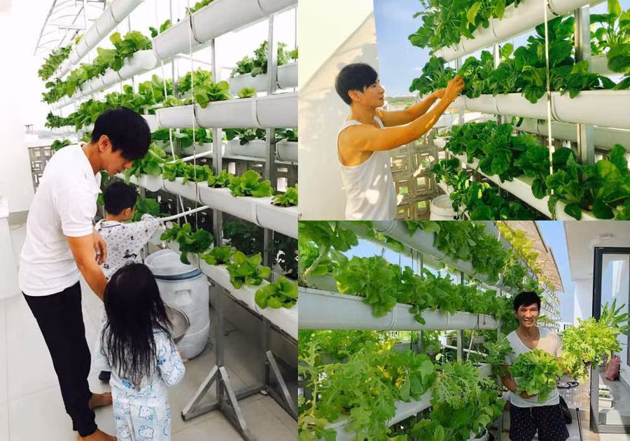 Góc vườn sang chảnh chuẩn nhà giàu trong biệt thự triệu đô của Cường Đô La và dàn sao Việt - 10