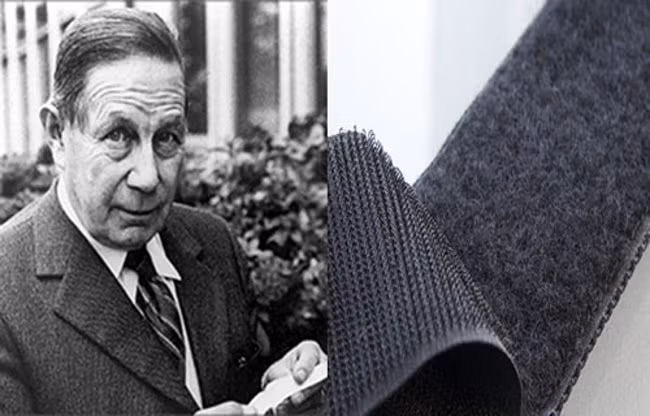 Loạt sự thật hài hước về thế giới xung quanh khiến bạn phải ngỡ ngàng - 7