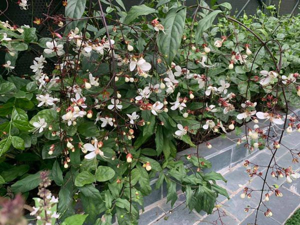 Những thành quả này khiến cô còn hài hước, có lẽ mình phải chuyển sang nghề nông Những thành quả này khiến cô còn hài hước, có lẽ mình phải chuyển sang nghề nông