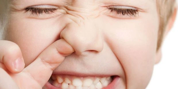 Nghiên cứu khoa học: Ngoáy mũi và ăn gỉ mũi tốt cho sức khoẻ