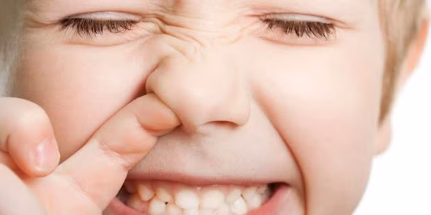 Nghiên cứu khoa học: Ngoáy mũi và ăn gỉ mũi tốt cho sức khoẻ