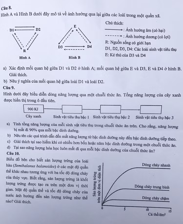 Đề thi vào lớp chuyên Sinh trường Khoa học tự nhiên - 3