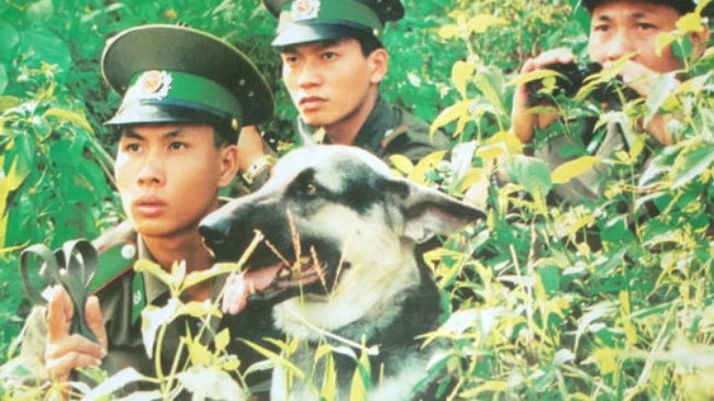 Tội phạm ma túy vùng cao ngày càng manh động