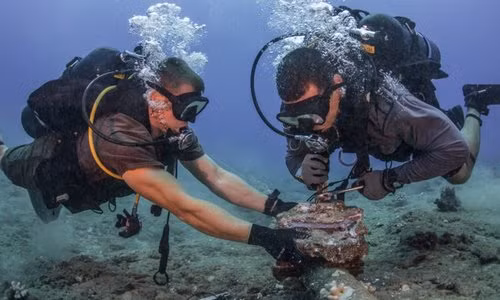 Những điều ít biết về cáp quang biển ảnh 1