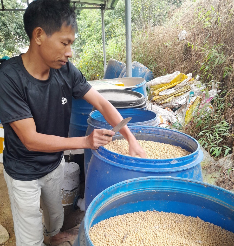 Anh Đại chế tạo phân hữu cơ vi sinh từ đạm cá và đậu nành.