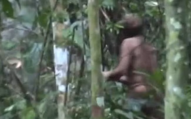 Thổ dân cuối cùng của một bộ lạc trong rừng Amazon