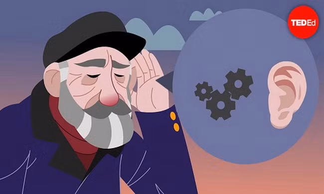 Quá trình nghe diễn ra như thế nào?