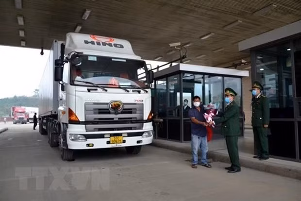 Xuat khau 190 tan thanh long qua cua khau Kim Thanh trong ngay dau nam hinh anh 2