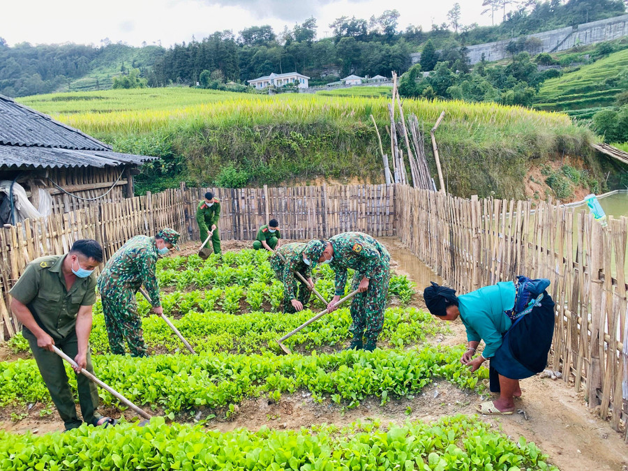 Đồn Biên phòng Thàng Tín giúp nhân dân thôn Cao Thượng Sơn, xã Pố Lồ, huyện Hoàng Su Phì cải tạo vườn tạp.
