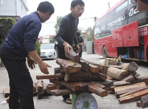 Lực lượng chức năng khoan hầm xe khách, thu giữ các tấm gỗ trắc lậu
