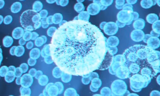 Lợi ích và tác hại của hạt nano