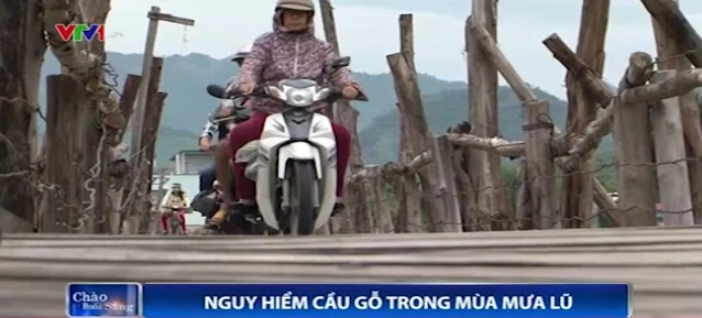 Cầu gỗ 10 năm hư hại vẫn cho lưu thông, thu phí