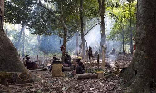 Người Jarawa sống du mụcdựa vào nguồn thức ăn từ rừng và biển. Ảnh: Claire Beilvert.