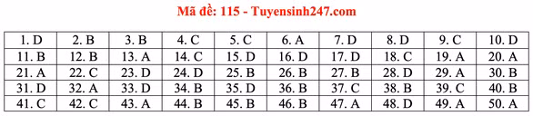 Gợi ý bài giải môn toán thi tốt nghiệp THPT 2020 - Ảnh 18.
