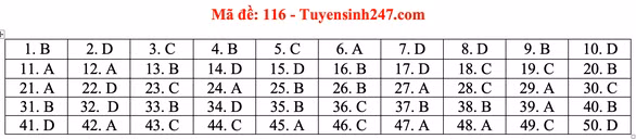 Gợi ý bài giải môn toán thi tốt nghiệp THPT 2020 - Ảnh 19.