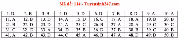 Gợi ý bài giải môn toán thi tốt nghiệp THPT 2020 - Ảnh 17.