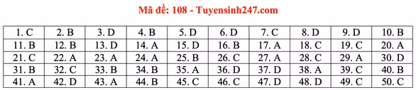 Gợi ý bài giải môn toán thi tốt nghiệp THPT 2020 - Ảnh 12.