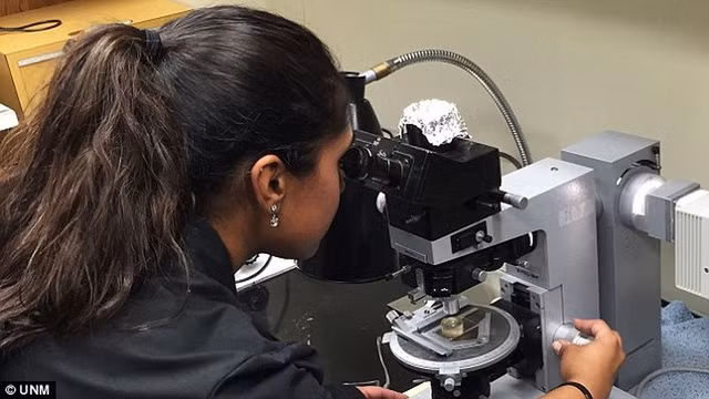  Nhóm nghiên cứu thuộc Trung tâm Nghiên cứu Thiên thạch ASU (Hoa Kỳ) đang kiểm tra thiên thạch (NWA) 11119. Ảnh UNM. 