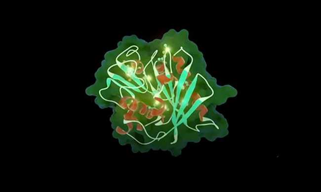 Phát triển thành công enzyme có khả năng phân hủy nhựa