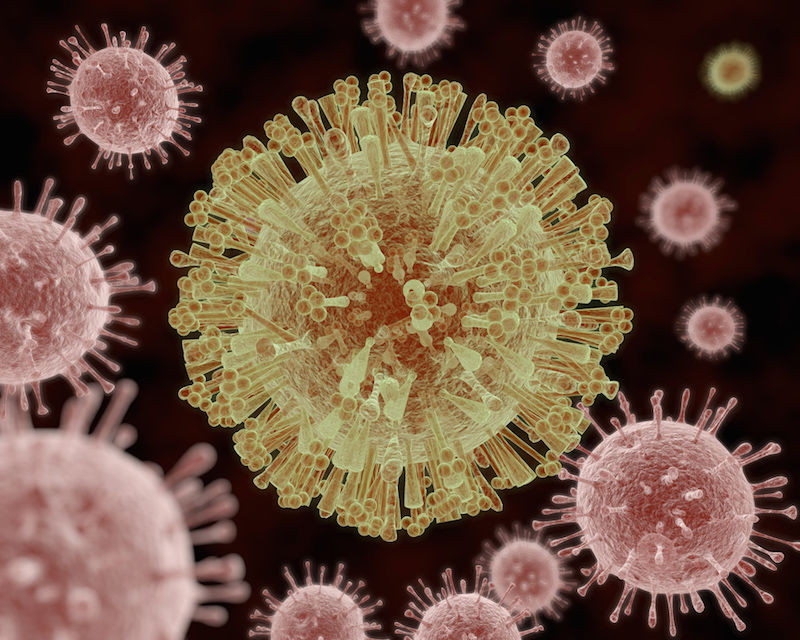 Virus có thực sự “sống” hay không?
