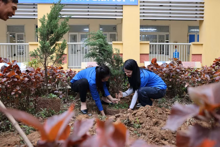 Trồng cây là hoạt động ý nghĩa của thầy trò Trường Tiểu học Mê Linh mỗi dịp đầu xuân.