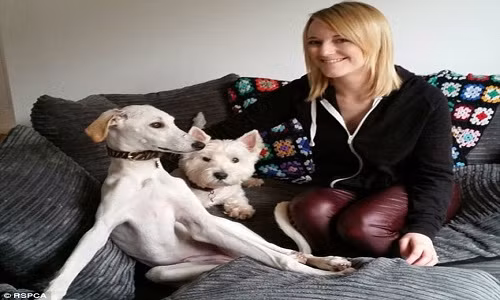 chu-cho-gay-tro-xuong-lot-xac-ngoan-muc-3