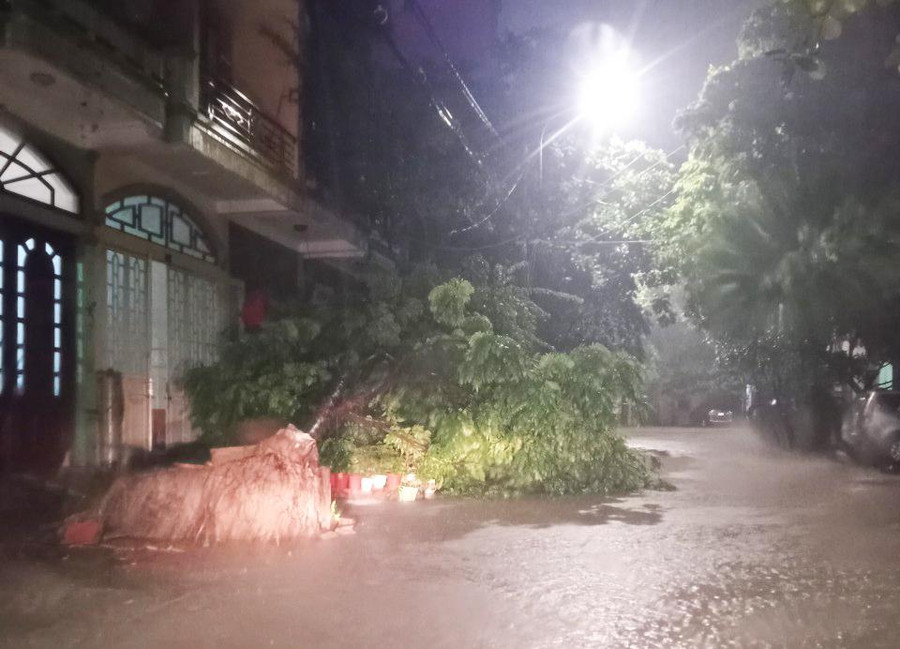 Mưa lớn kèm theo gió khiến một số cây xanh tại TP Hạ Long bị đổ. Mưa lớn kèm theo gió khiến một số cây xanh tại TP Hạ Long bị đổ.