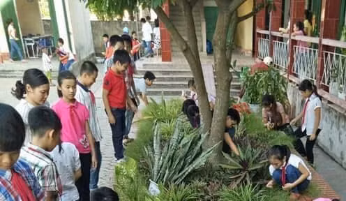 Các em học sinh trường tiểu học Kim Đính (huyện Kim Thành) tham gia các hoạt động thực tế rèn luyện kỹ năng sống.