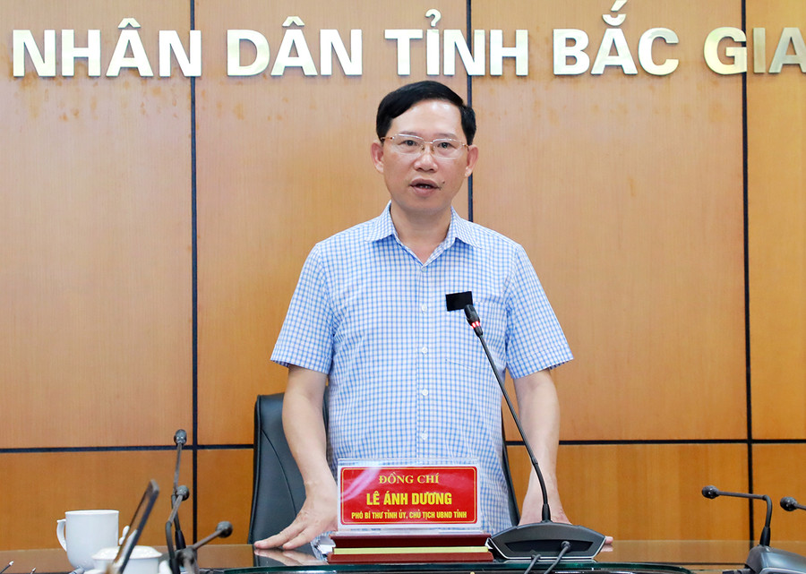 Chủ tịch UBND tỉnh Bắc Giang - Lê Ánh Dương phát biểu tại buổi làm việc.
