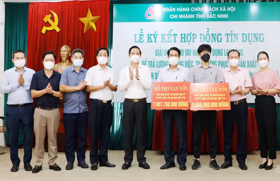 Phó Chủ tịch Thường trực UBND tỉnh Vương Quốc Tuấn (đứng thứ 5) trao biển tượng trưng cho các doanh nghiệp.