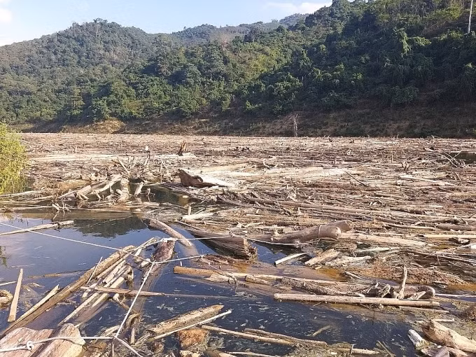 Sau lũ, lòng hồ Thủy Điện Bản Vẽ ngập gỗ - điều này đã lộ ra mức độ tàn phá rừng ở thượng nguồn công trình thủy điện này. Ảnh minh họa.