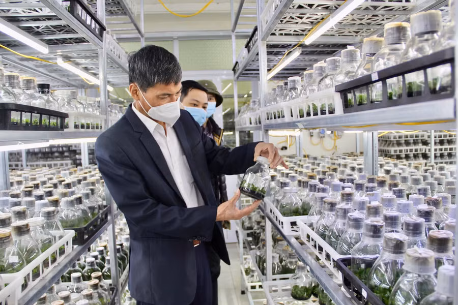 Đoàn giám sát thực tế các mô hình sản xuất tại Viện Nghiên cứu Rau quả.