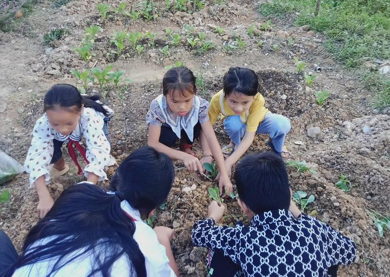 Học sinh tham gia trồng rau ở vườn trường. Ảnh NTCC.