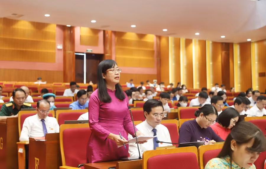 Đại biểu, phát biểu thảo luận tại kỳ họp.