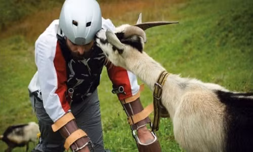 nghien-cuu-ve-quan-khien-chuot-yeu-sinh-ly-gianh-giai-ig-nobel-2016-1