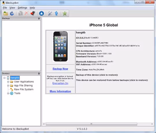 Thông tin iPhone trên giao diện iBackupBot
