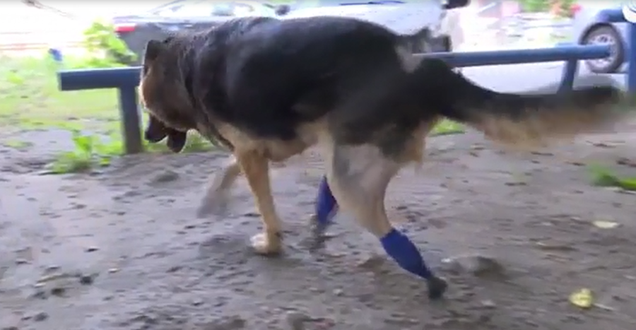 Ảnh cắt từ video.