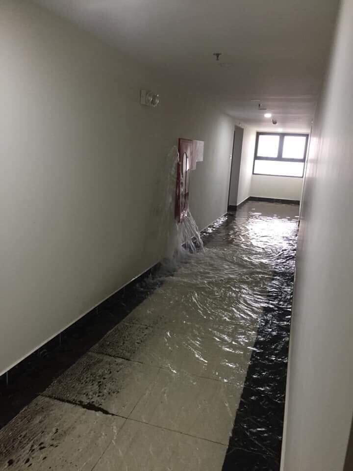 Nước từ hộp cứu hỏa trào ra.