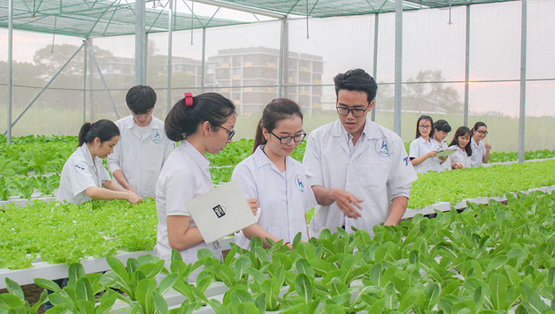 SV TDTU trong giờ học thực hành. Ảnh: TDTU SV TDTU trong giờ học thực hành. Ảnh: TDTU