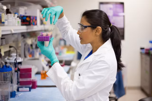 IBM phát triển công nghệ tiêu diệt Zika và Ebola