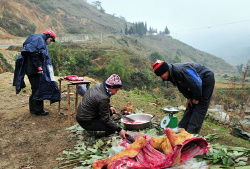 Dọc quốc lộ 4D (Sa Pa - Lào Cai) có nhiều điểm bán thịt trâu