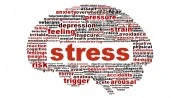 Stress có thể khiến não bạn nhỏ lại