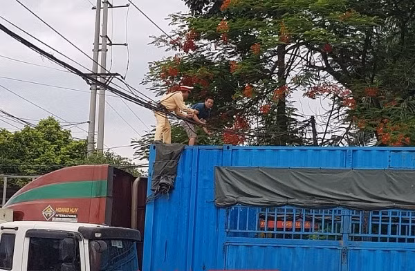 Chiến sĩ CSGT Đội 11 cùng tài xế xử lý nguy hiểm từ đường dây điện.