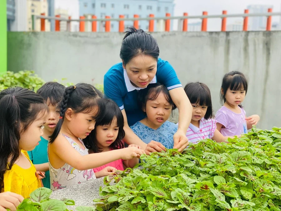 Các nhà giáo đề xuất các chính sách về tiền lương để đảm bảo nhà giáo sống được bằng đồng lương của mình.