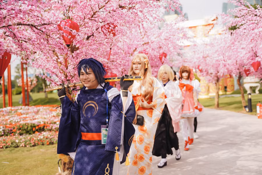 Con đường hoa anh đào tô điểm trời Xuân tại lễ hội "Bonsai trường thọ" & Tuần lễ văn hoá Việt - Nhật