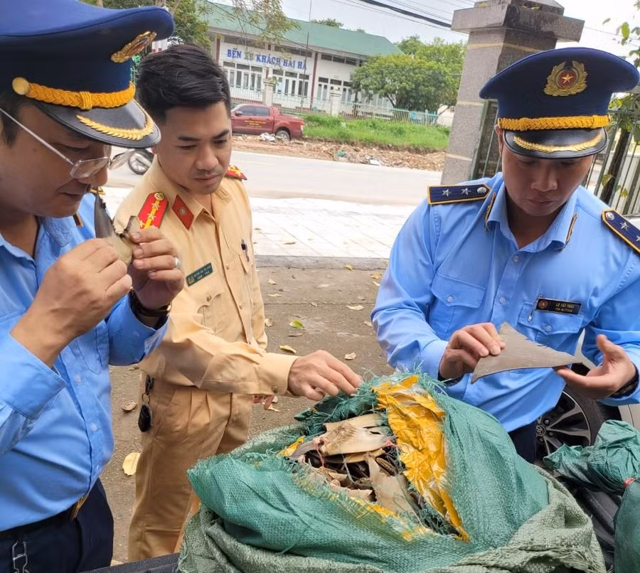 30kg vây cá mập khô được đựng trong bao dứa.
