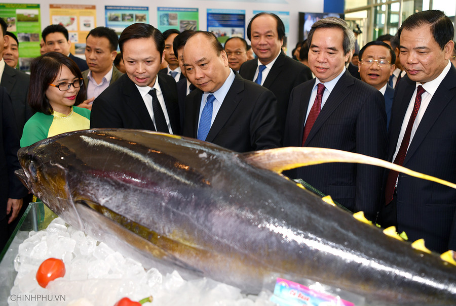 Đến nay ngành nông nghiệp đã có10 nhóm mặt hàng đạt kim ngạch xuất khẩu từ 1 tỷ USD trở lên. Ảnh: VGP/Quang Hiếu Đến nay ngành nông nghiệp đã có10 nhóm mặt hàng đạt kim ngạch xuất khẩu từ 1 tỷ USD trở lên. Ảnh: VGP/Quang Hiếu