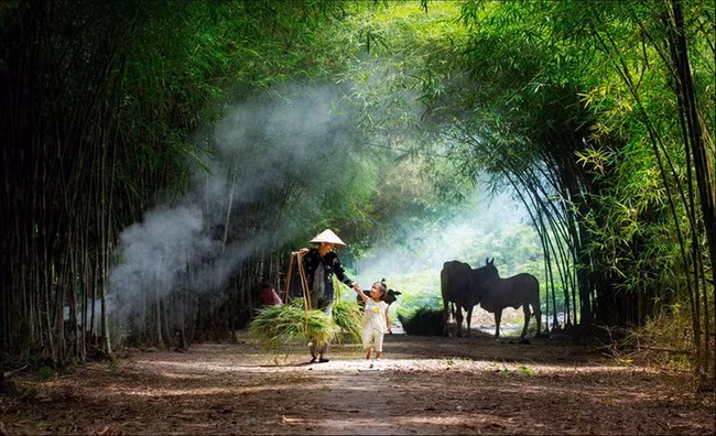 Người sống ở vùng nông thôn có tâm trí minh mẫn hơn khi về già 